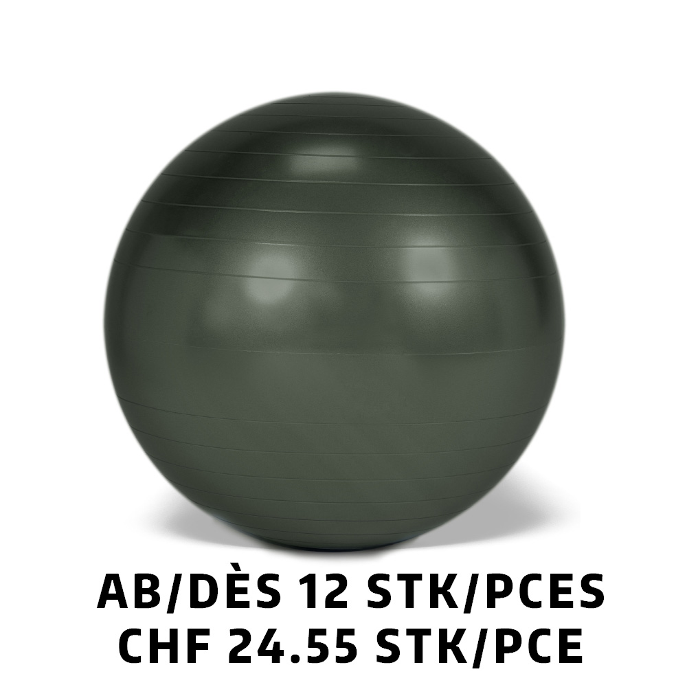 Ballon Gymnic+ BRQ Ø65cm Anthracite dès 12 pièces