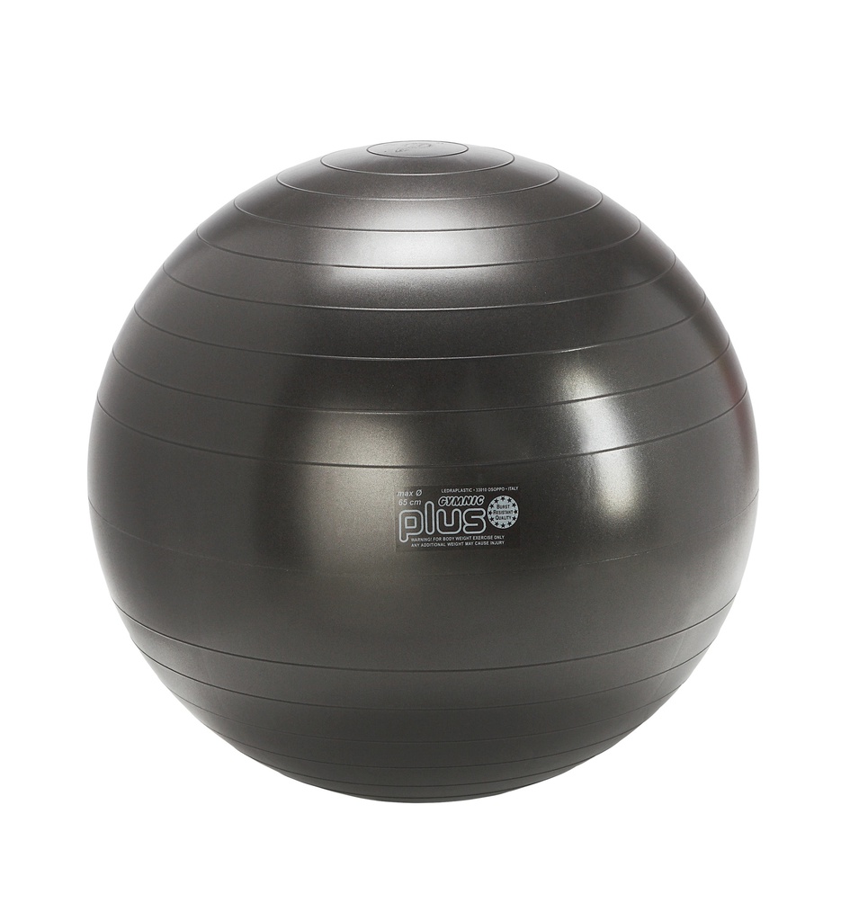 Ballon Gymnic Plus Ø65cm anthracite (modèle Expo)