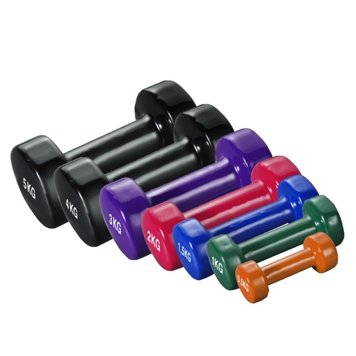 Vinyl Dumbbell per piece