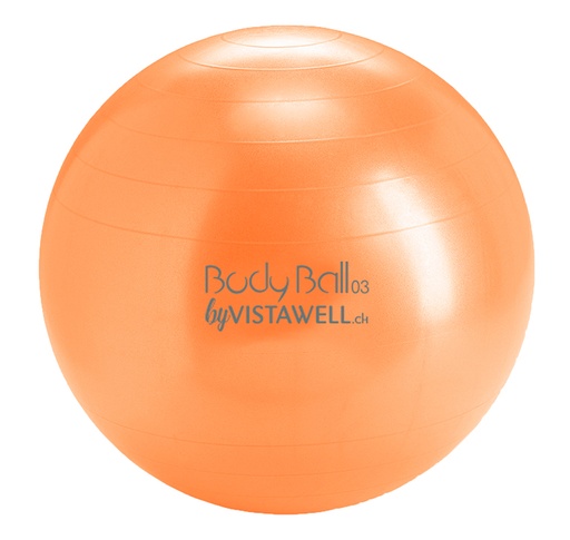 [2516] BodyBall 3 Ø 42cm