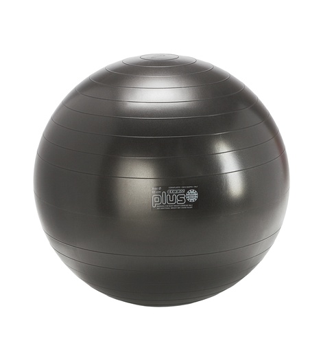 [SH95.43] Ball Gymnic Plus Ø65cm anthracite (modèle Expo)