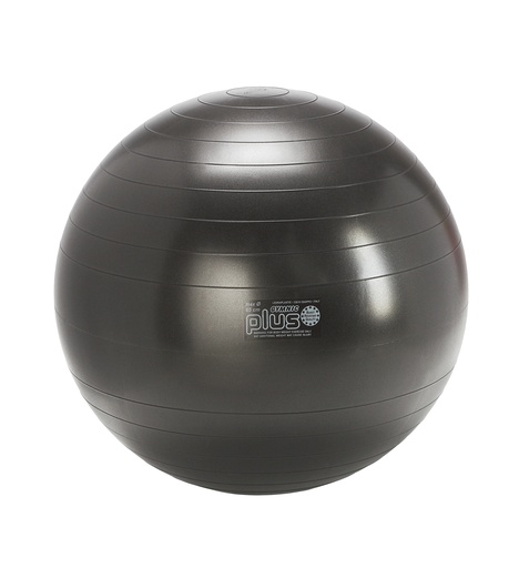 [SH95.43] Ballon Gymnic Plus Ø65cm anthracite (modèle Expo)